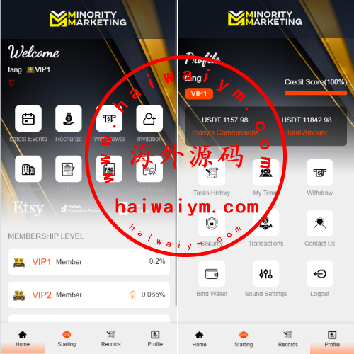 海外抢单刷单系统/连单系统/VUE3开发